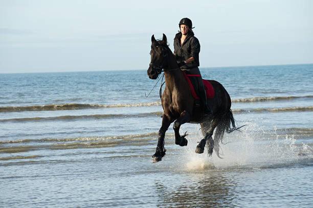 "Magnifique 2 Pieces " 150M Plages Et 500M Centre De Cabourg Bagian luar foto